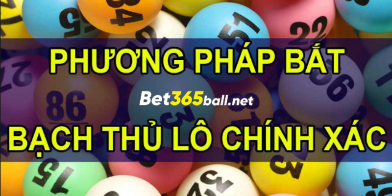 Phương pháp bắt bạch thủ lô chắc thắng 100%