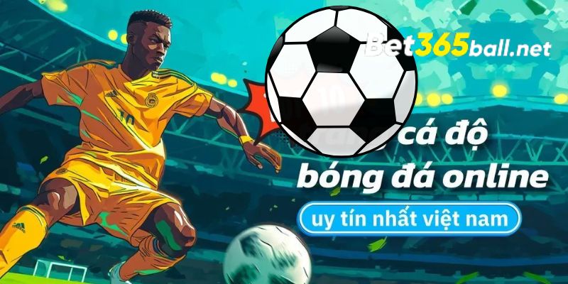 Bet365 || Kinh Nghiệm Cá Cược Bóng Đá Club Dễ Thắng